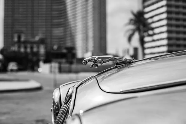 ΠοκετΓουιν Καζίνο Εφαρμογή Android/iOS