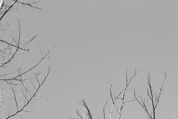 ΠοκετΓουιν Καζίνο Υποστηριξη